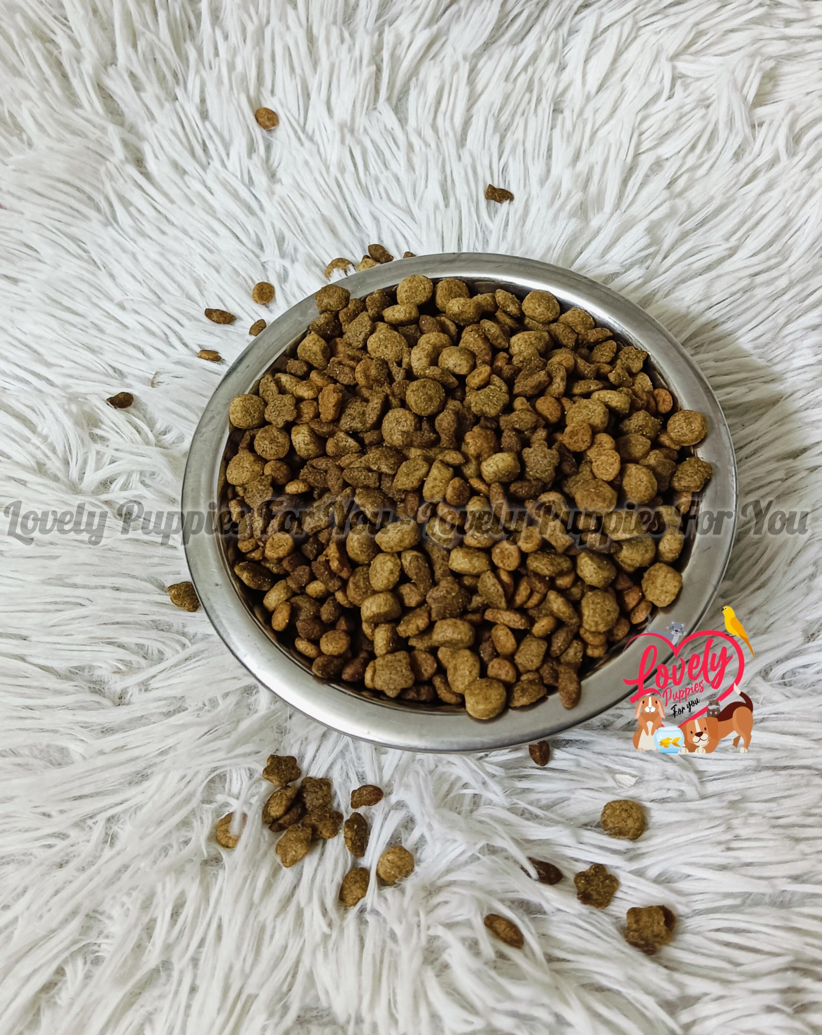 Mix Cat Food 500 Gm