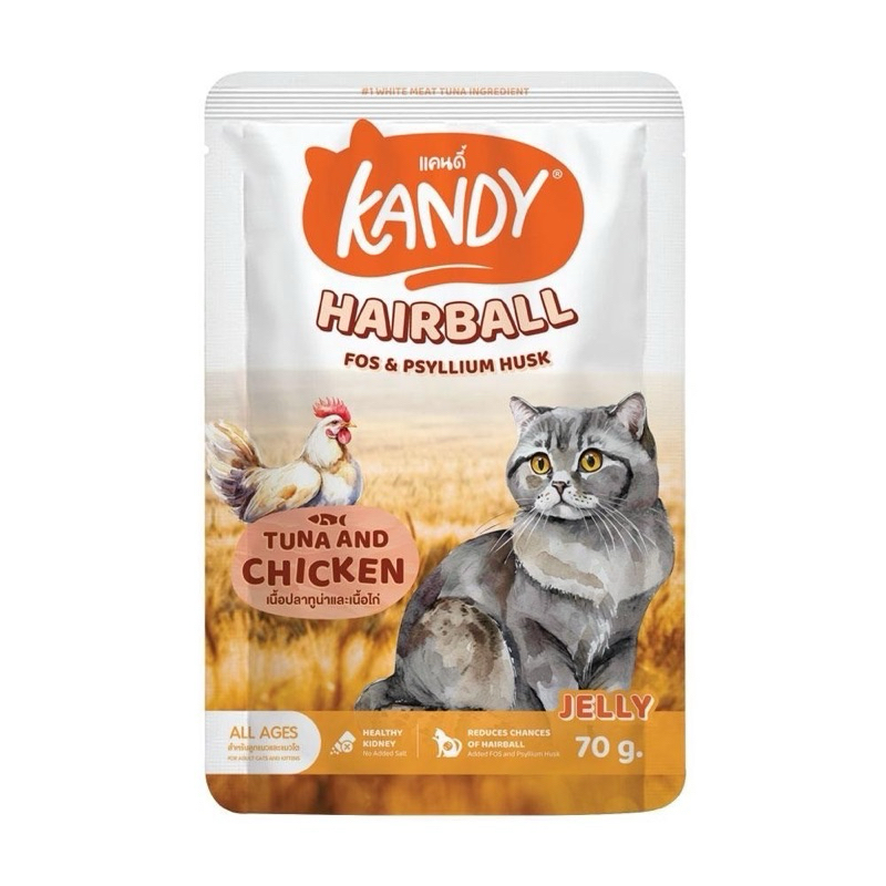 Kandy Cat Wet Food Hairball Formula 70gm