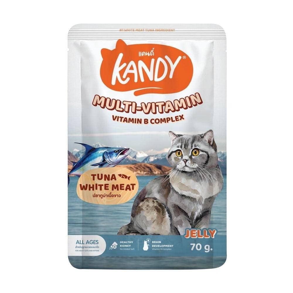 Kandy Cat Wet Food Multi-Vitamin Formula 70gm