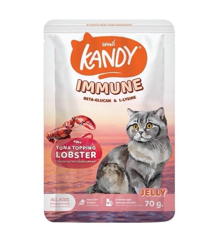 Kandy Cat Wet Food Immune Formula 70gm