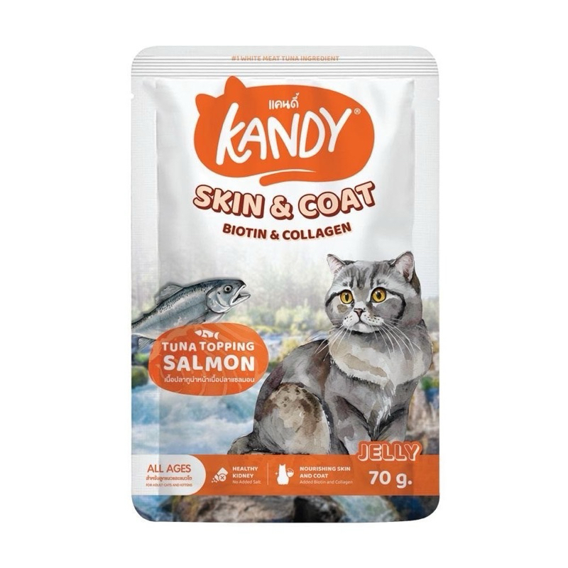 Kandy Cat Wet Food Skin & Coat Formula 70gm